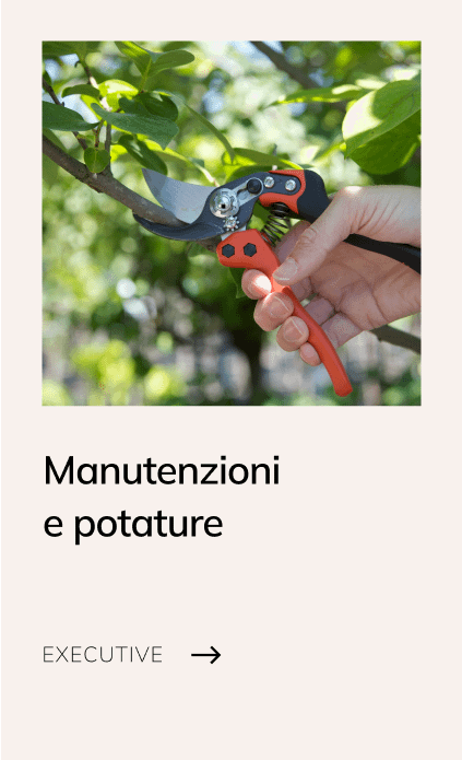 manutenzionii-e-potature