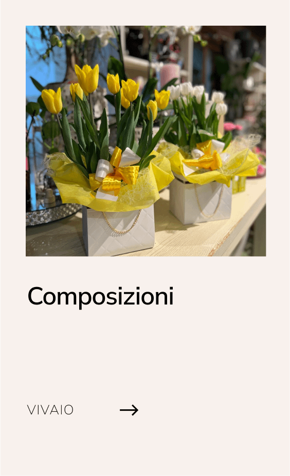 12-composizioni