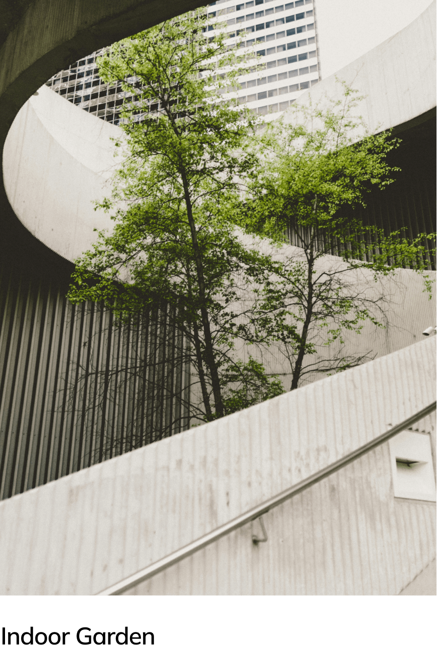 indoor-garden