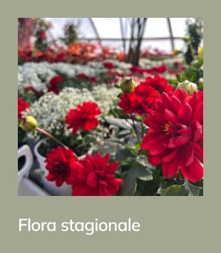 flora-stagionale